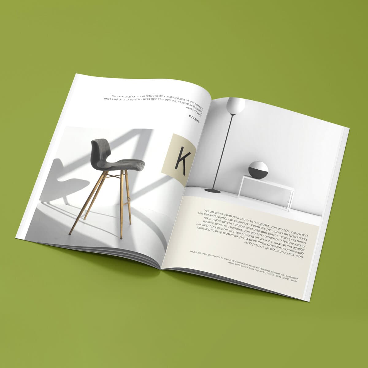 קטלוג / חוברת של חברת רהיטים בכריכת הדבקה המציג כסא ומנורה מודרניים על רקע ירוק.